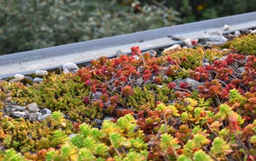 the cost of West Lulworth green roof installation
