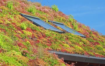 West Lulworth living roof systems